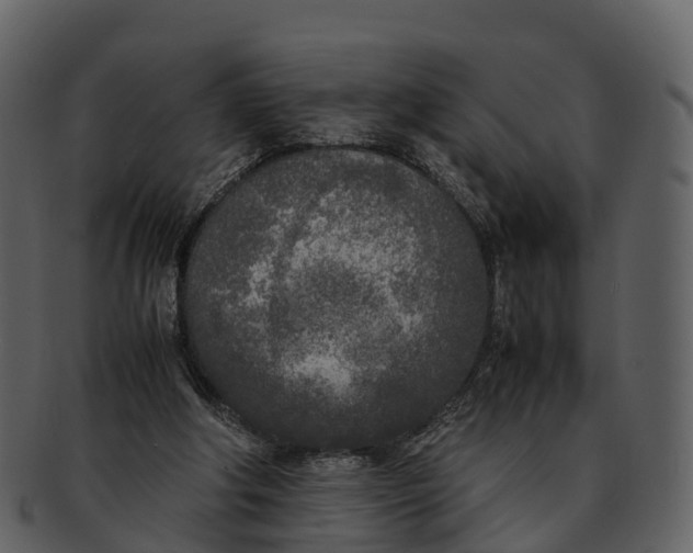 X0000092330202200710051321