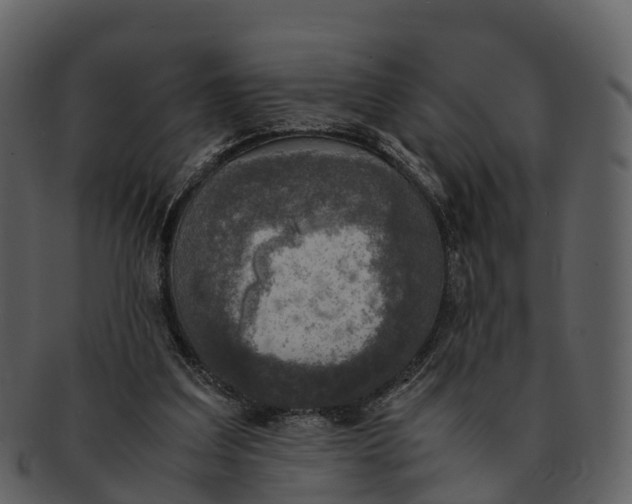 X0000092330203200710051321