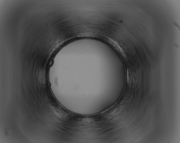 X0000092330204200710051321