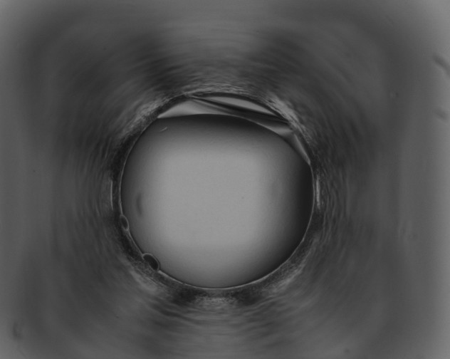 X0000092330205200710051321