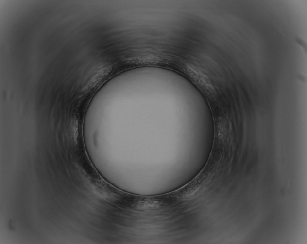 X0000092330206200710051321