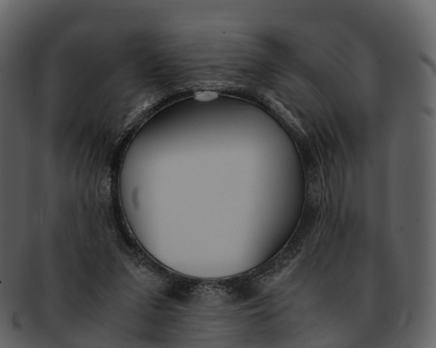 X0000092330207200710051321