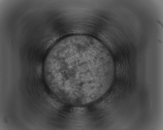 X0000092330208200710051321