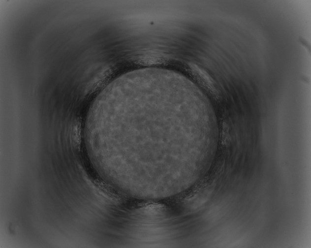 X0000092330210200710051321