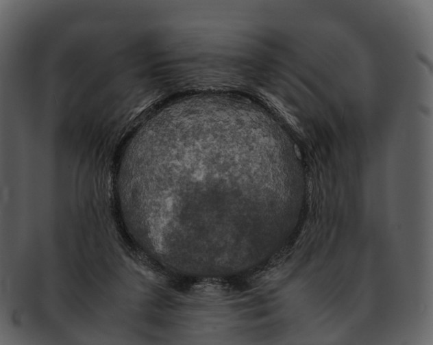 X0000092330211200710051321