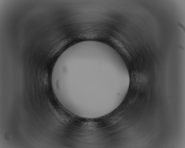 X0000092330212200710051321