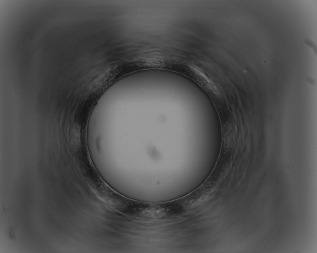 X0000092330213200710051321