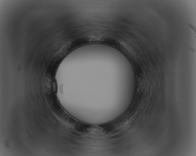 X0000092330215200710051321