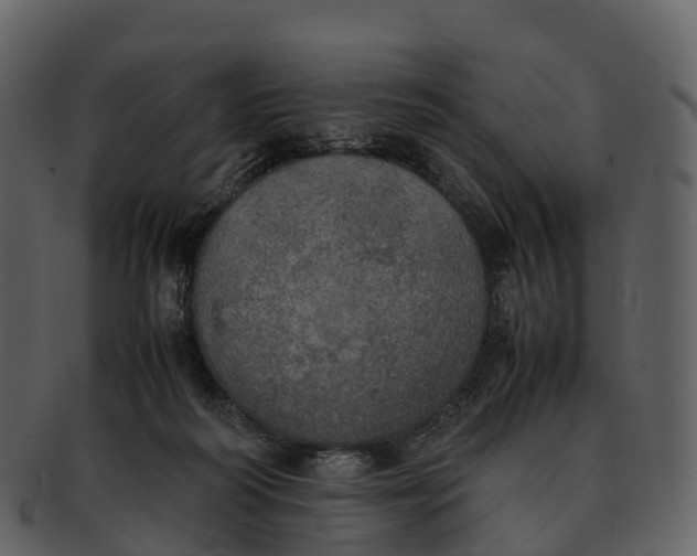 X0000092330218200710051321