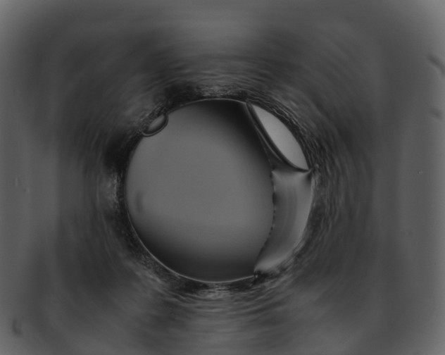 X0000092330219200710051321