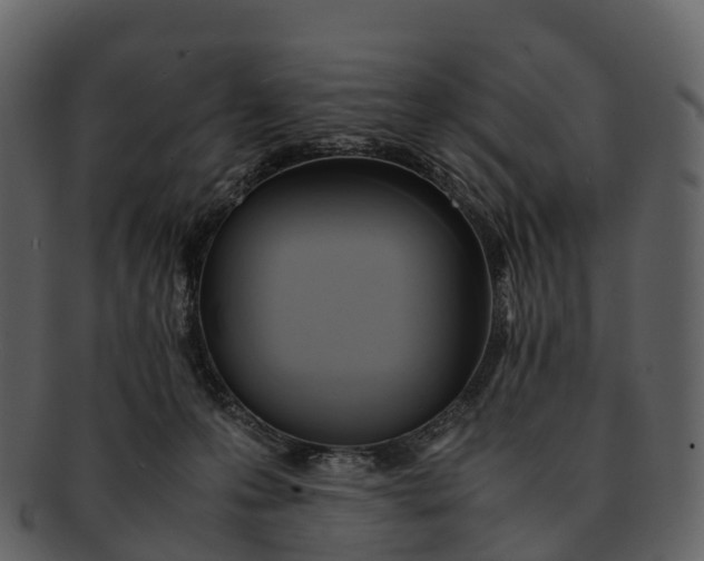 X0000092330223200710051320