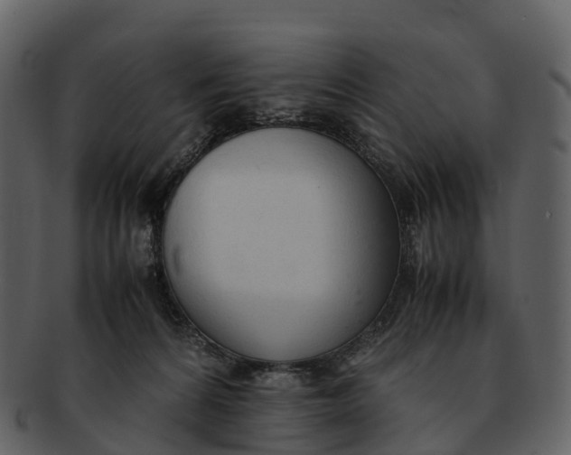 X0000092330224200710051320