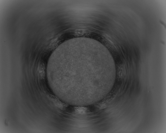 X0000092330226200710051320