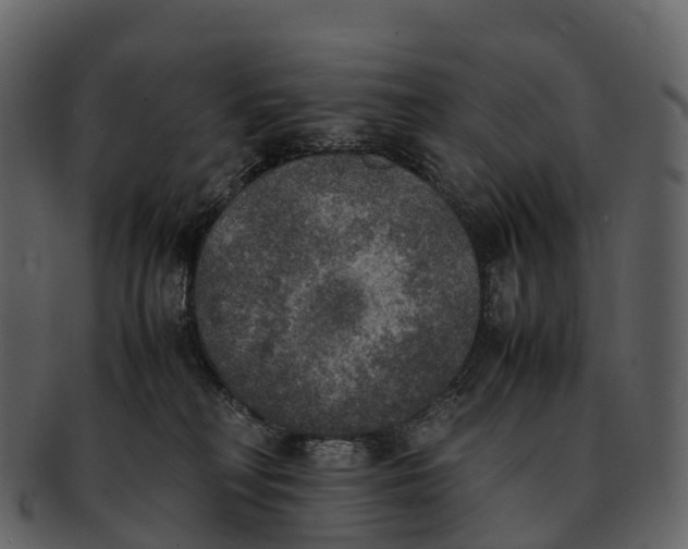 X0000092330230200710051320
