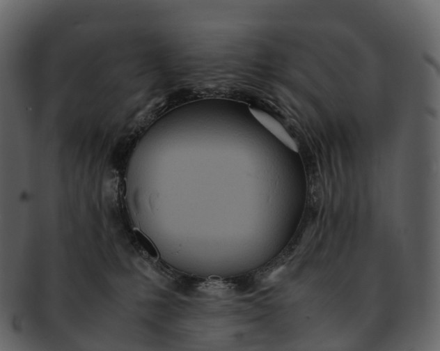 X0000092330231200710051320