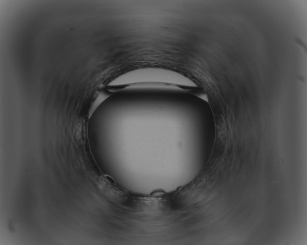 X0000092330233200710051320