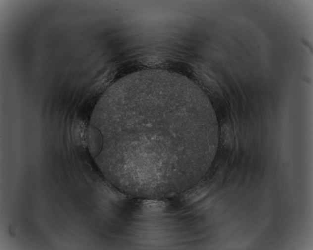 X0000092330234200710051320