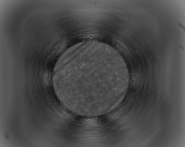 X0000092330236200710051320