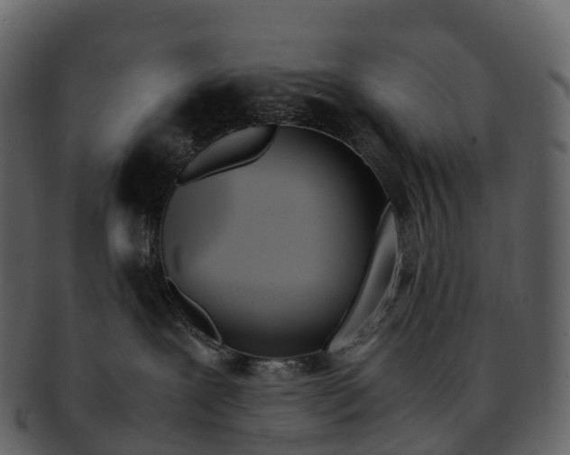 X0000092330239200710051320