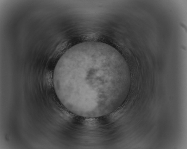 X0000092330240200710051320