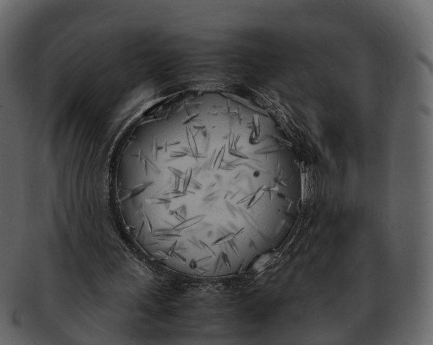X0000092330243200710051320