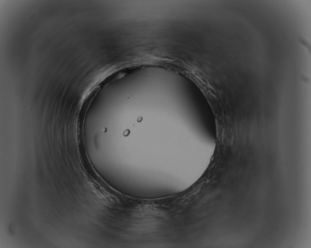 X0000092330244200710051320