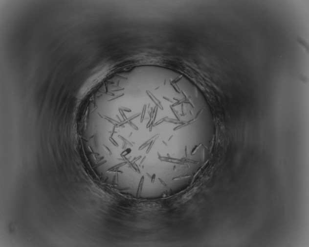 X0000092330245200710051320