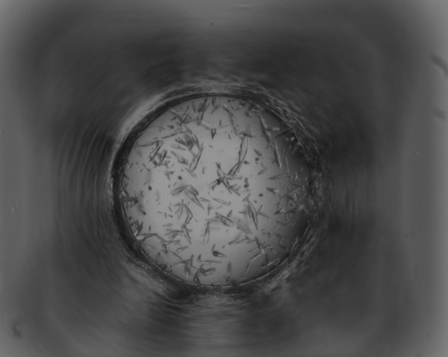 X0000092330246200710051320