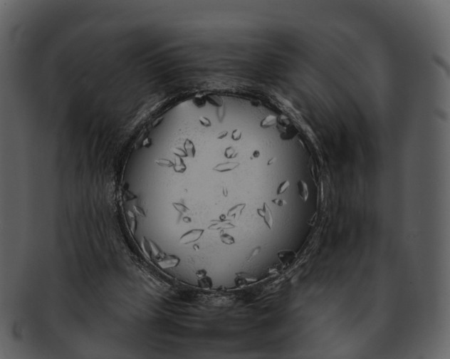 X0000092330249200710051320