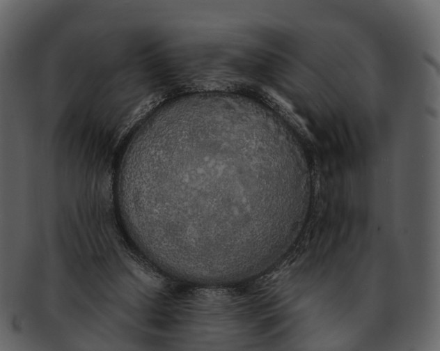 X0000092330250200710051320
