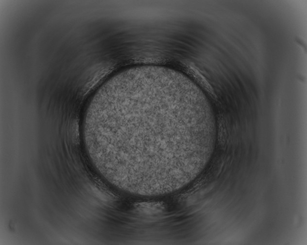 X0000092330251200710051320