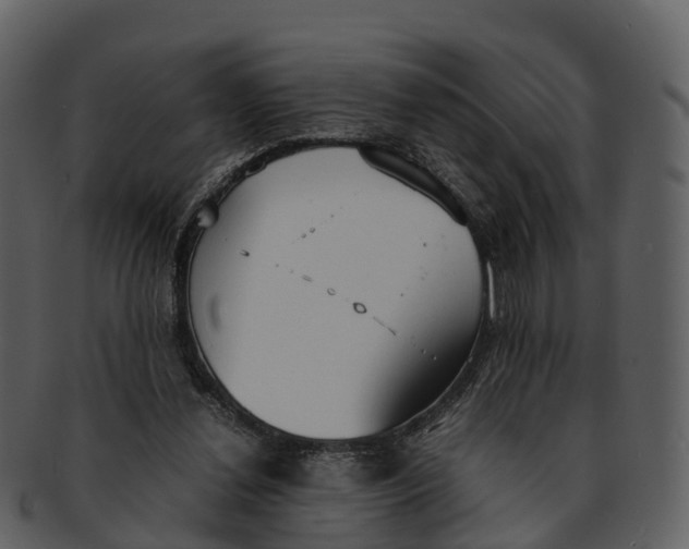 X0000092330252200710051320