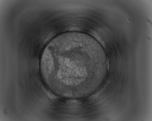 X0000092330253200710051320