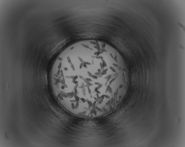 X0000092330254200710051320