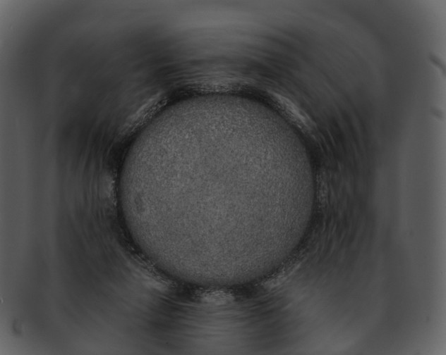X0000092330258200710051320