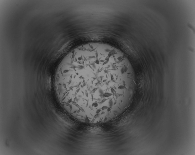 X0000092330262200710051320