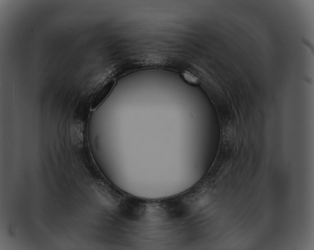 X0000092330264200710051320