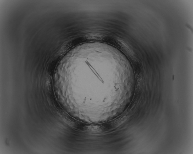 X0000092330265200710051320