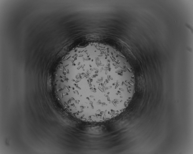 X0000092330267200710051320