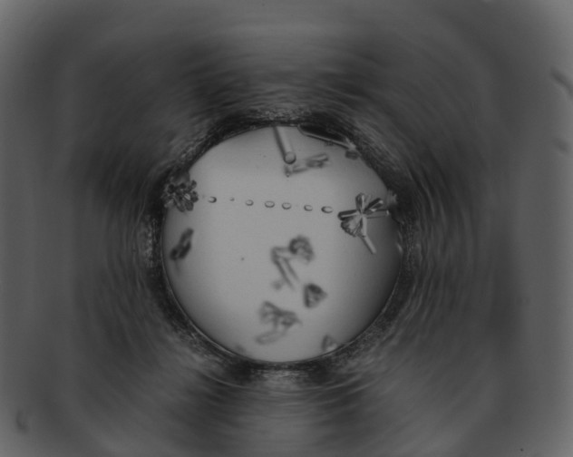 X0000092330268200710051320