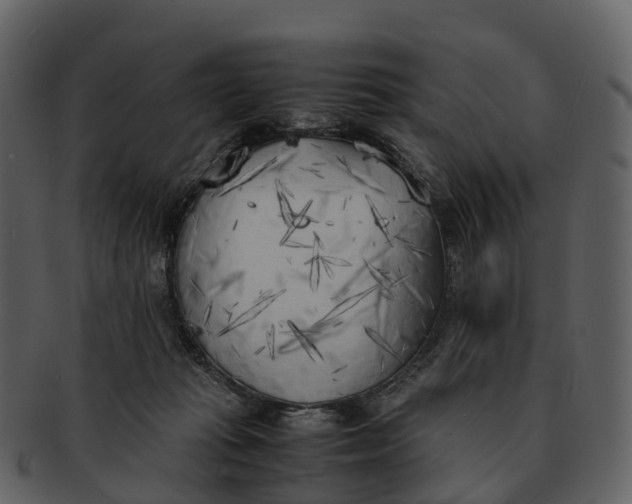 X0000092330269200710051320