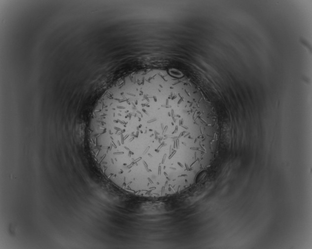 X0000092330271200710051320