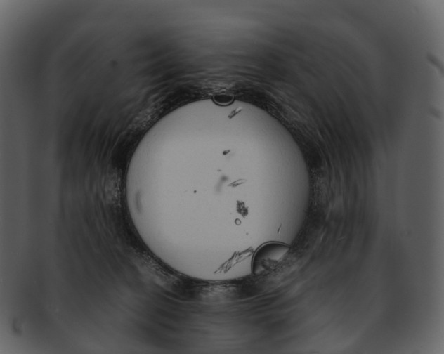 X0000092330274200710051320