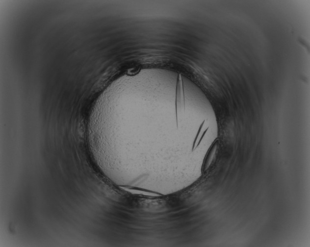 X0000092330277200710051320