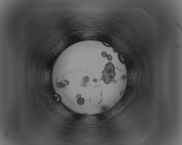 X0000092330278200710051320