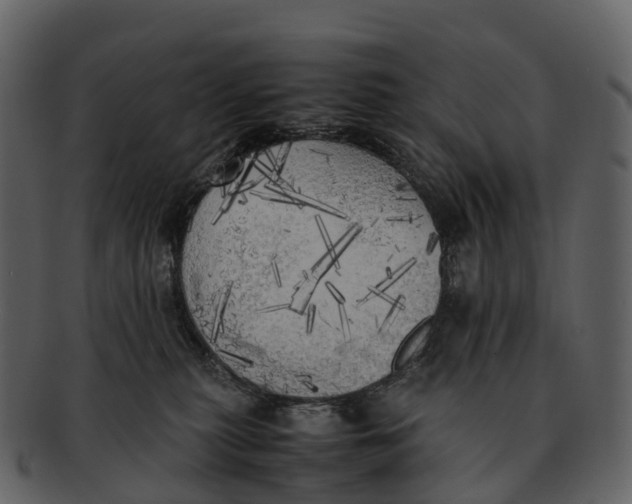 X0000092330279200710051320