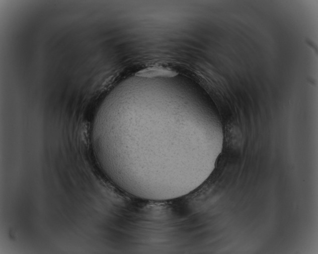 X0000092330280200710051320