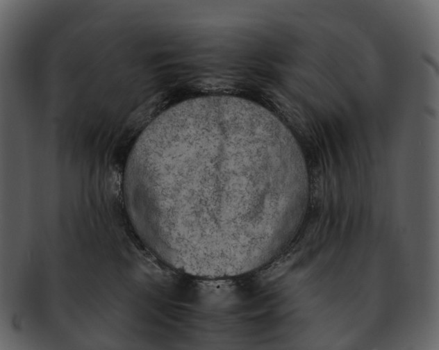 X0000092330281200710051320