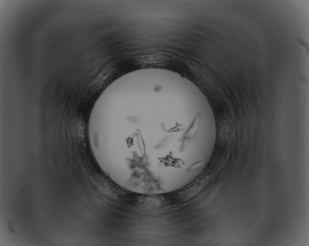 X0000092330282200710051320