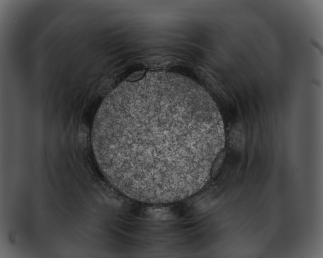 X0000092330283200710051320